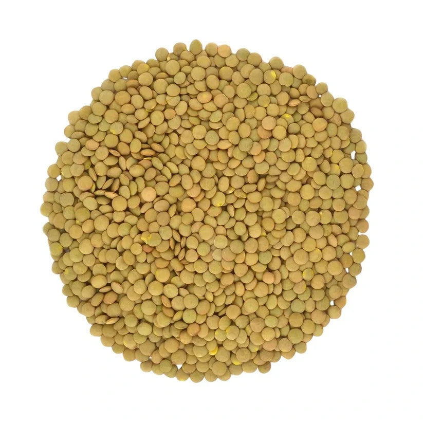 Green Lentils