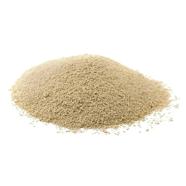 Dried Yeast