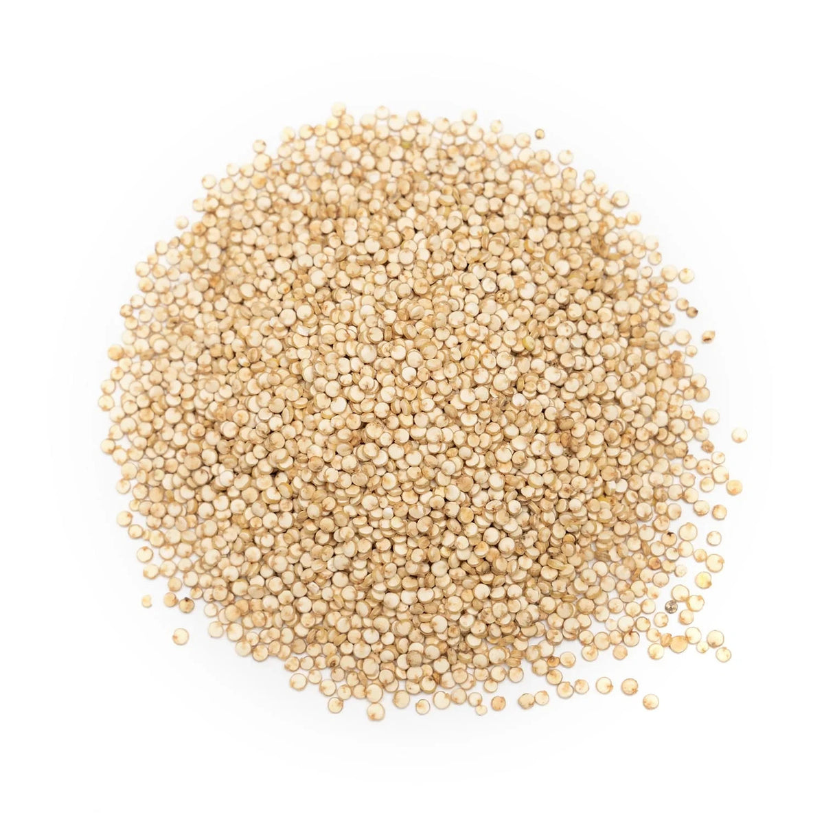 White Quinoa