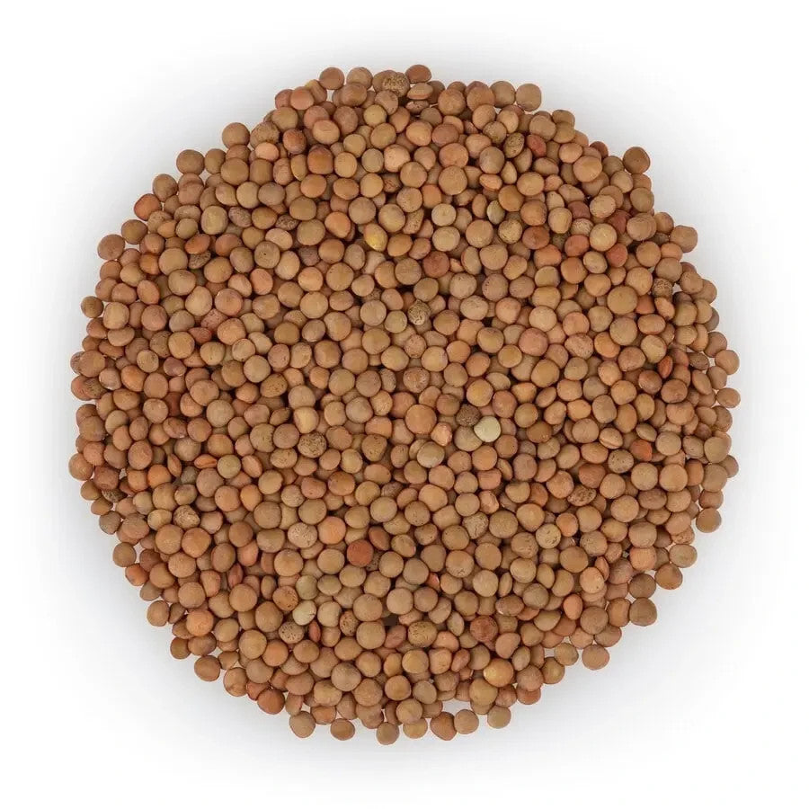 Brown Lentils (Sabut Masoor)