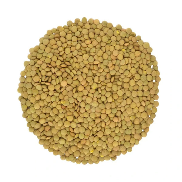 Green Lentils