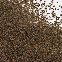Close-up of small black basil seeds
