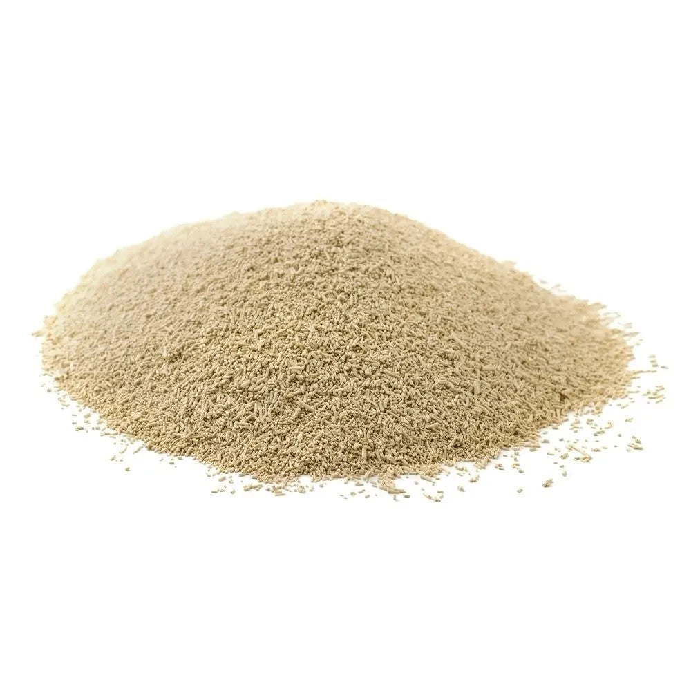 Dried Yeast