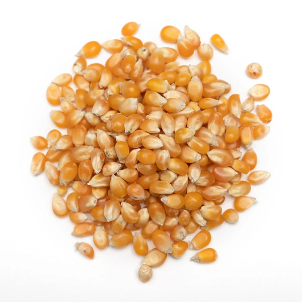 Butterfly Popcorn Kernels